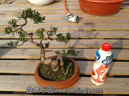 2013-12-02 13.38.22.jpg