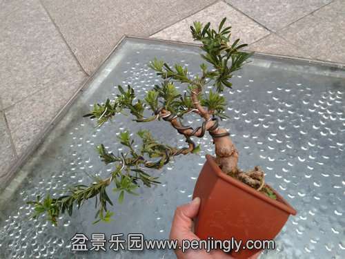 2013-12-03 16.38.08.jpg