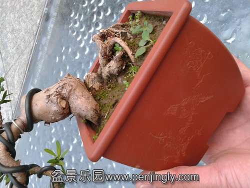 2013-12-03 16.38.56.jpg