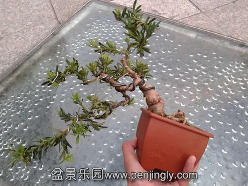 2013-12-03 16.42.13.jpg