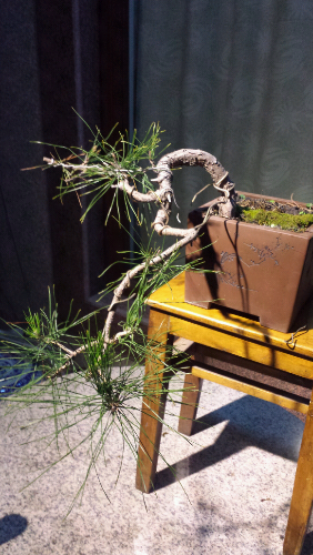20131204_182836.jpg