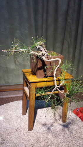 20131204_182859.jpg