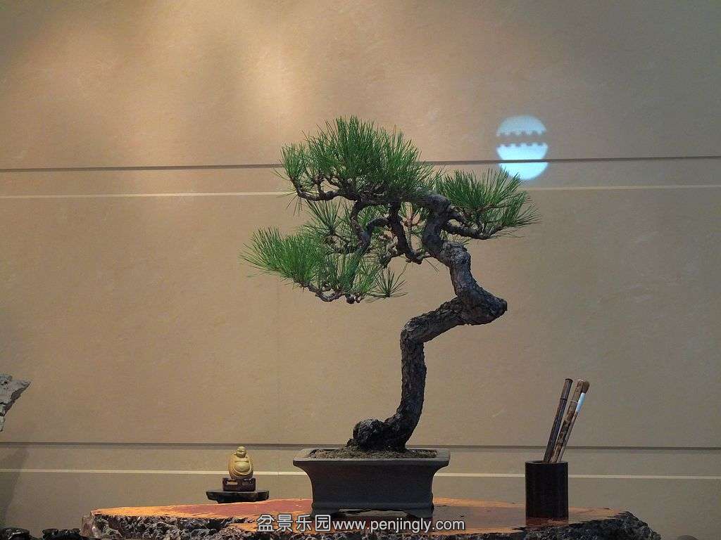 DSCF3317.jpg