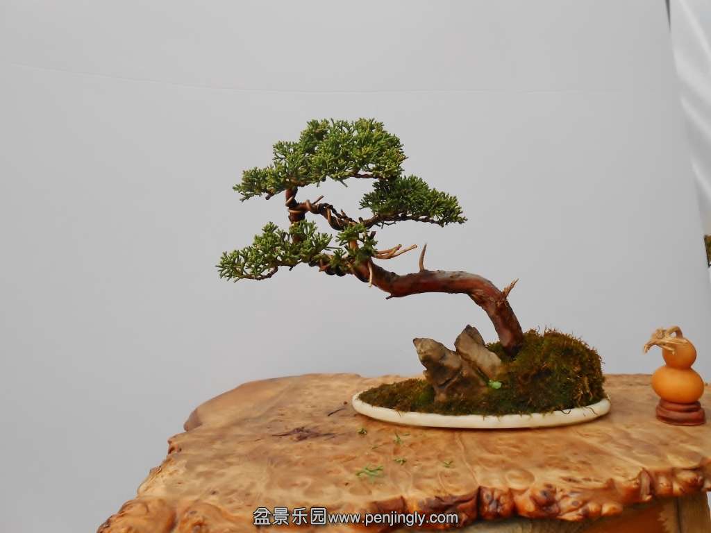 DSCN0447 (1024x768).jpg