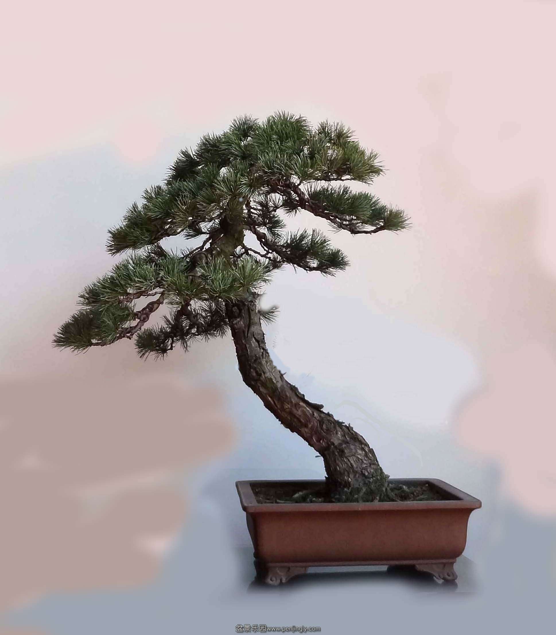 0000 ����.jpg