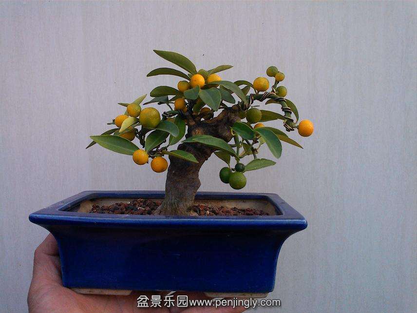 IMG1204163200.jpg