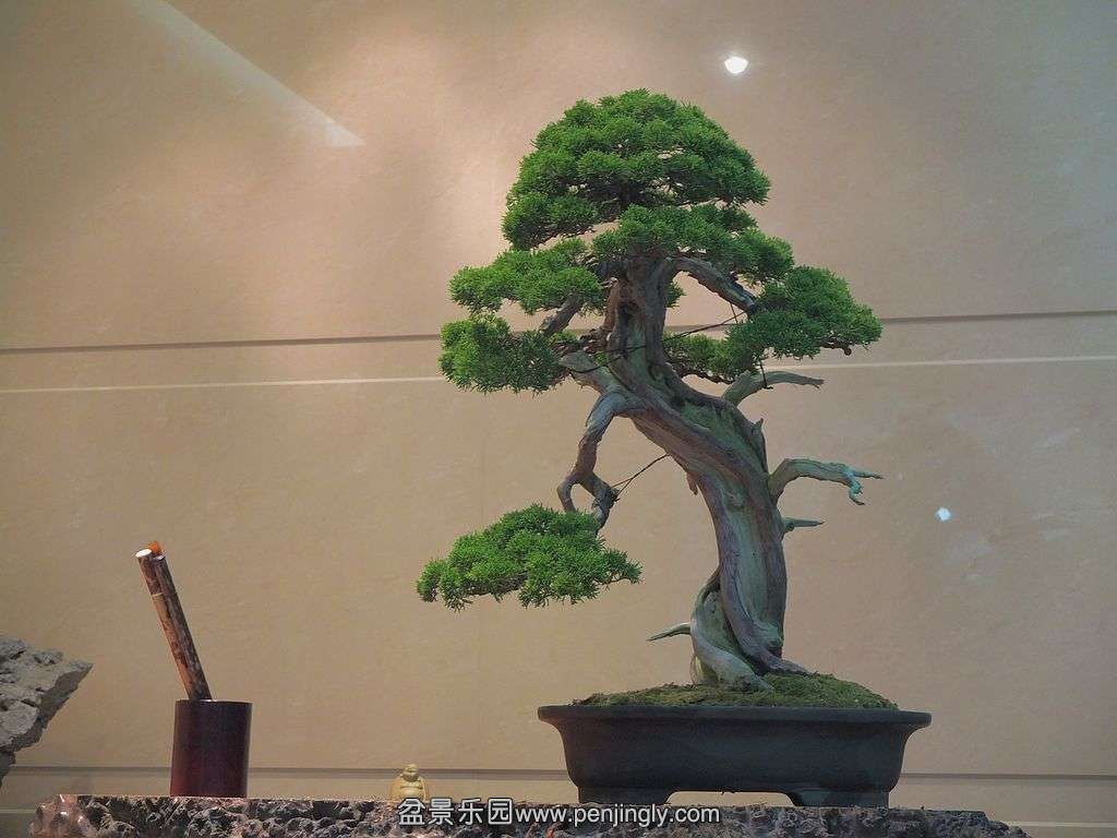 DSCF2968.jpg