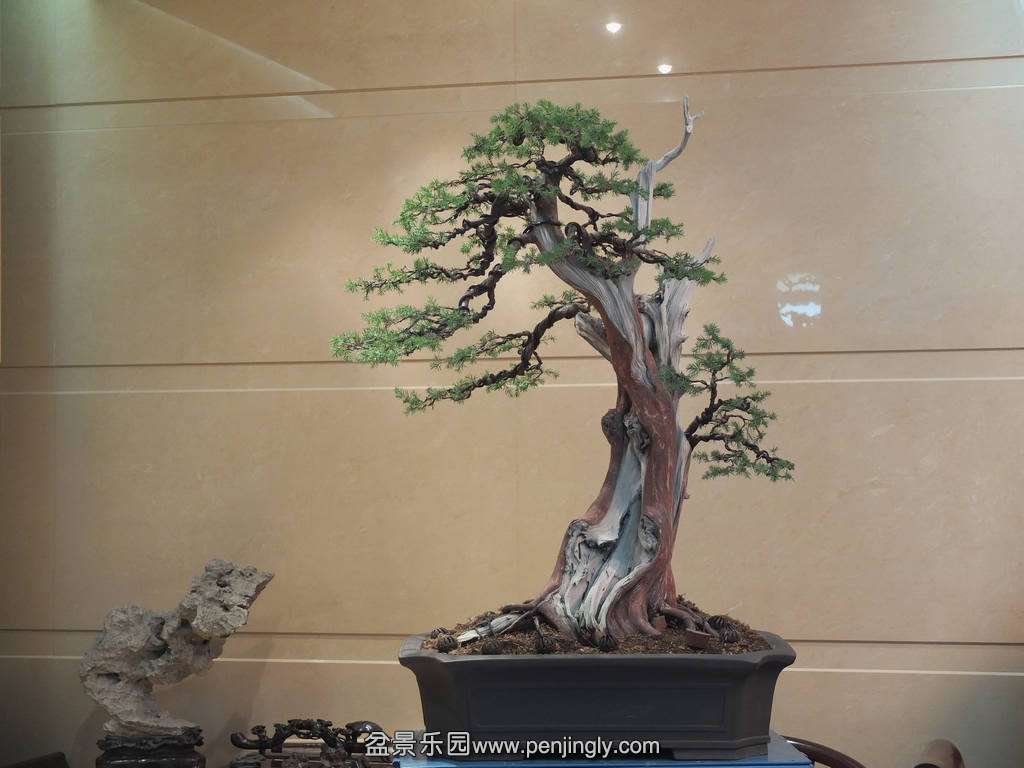 DSCF4799.jpg