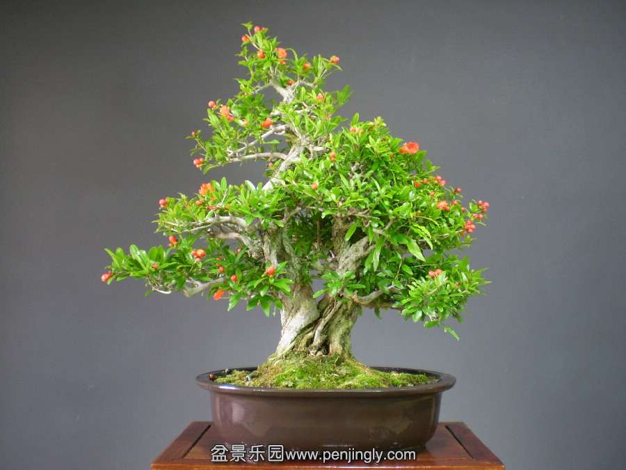 08bd935ae0.jpg