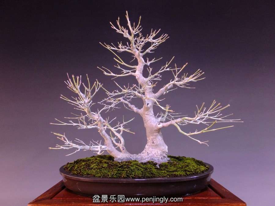 QQͼƬ20020202052230.jpg