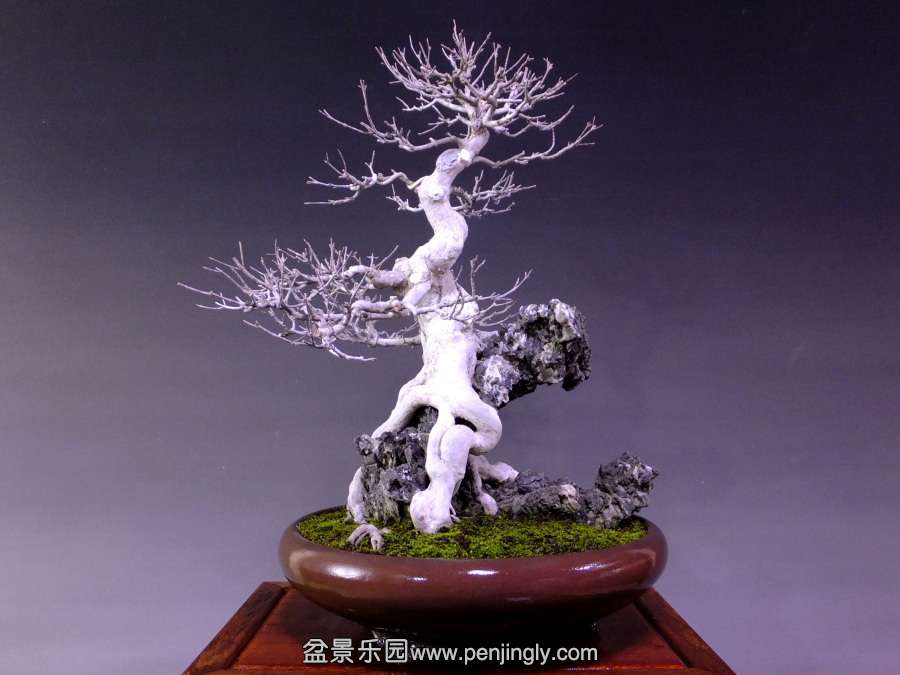 20131125_bcbc5f.jpg