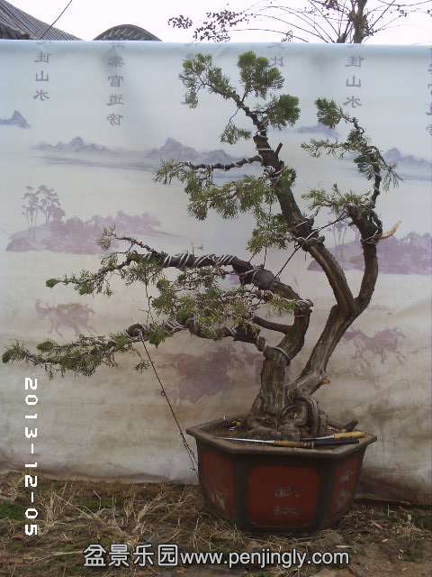 PHOT0298.JPG