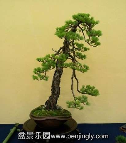 4b6c93fe-f462-4ee0-85ee-f88f0f63ab42.jpg