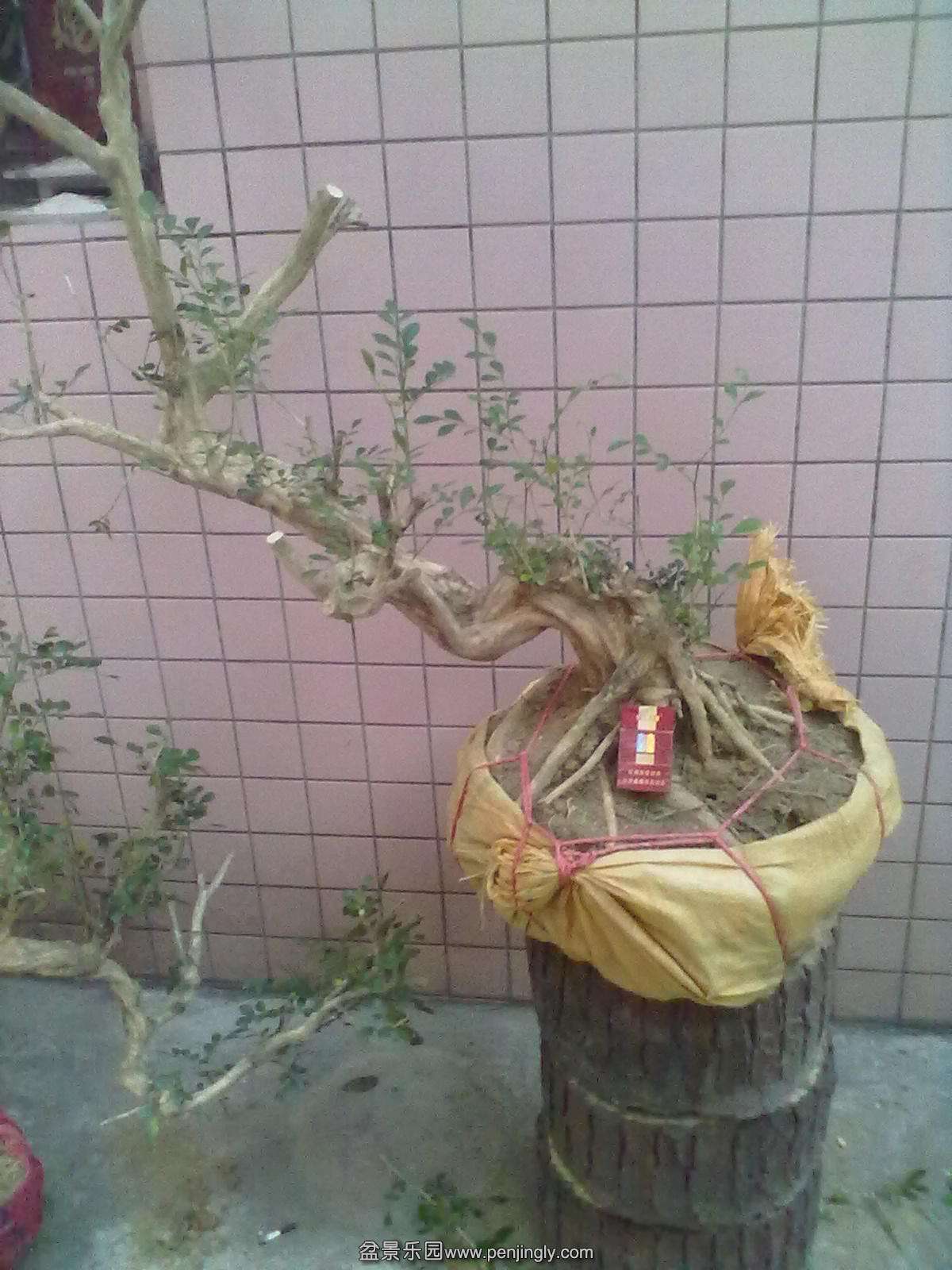 201312051248.jpg