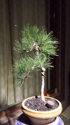 20131205_201559.jpg