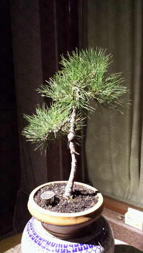 20131205_201549.jpg