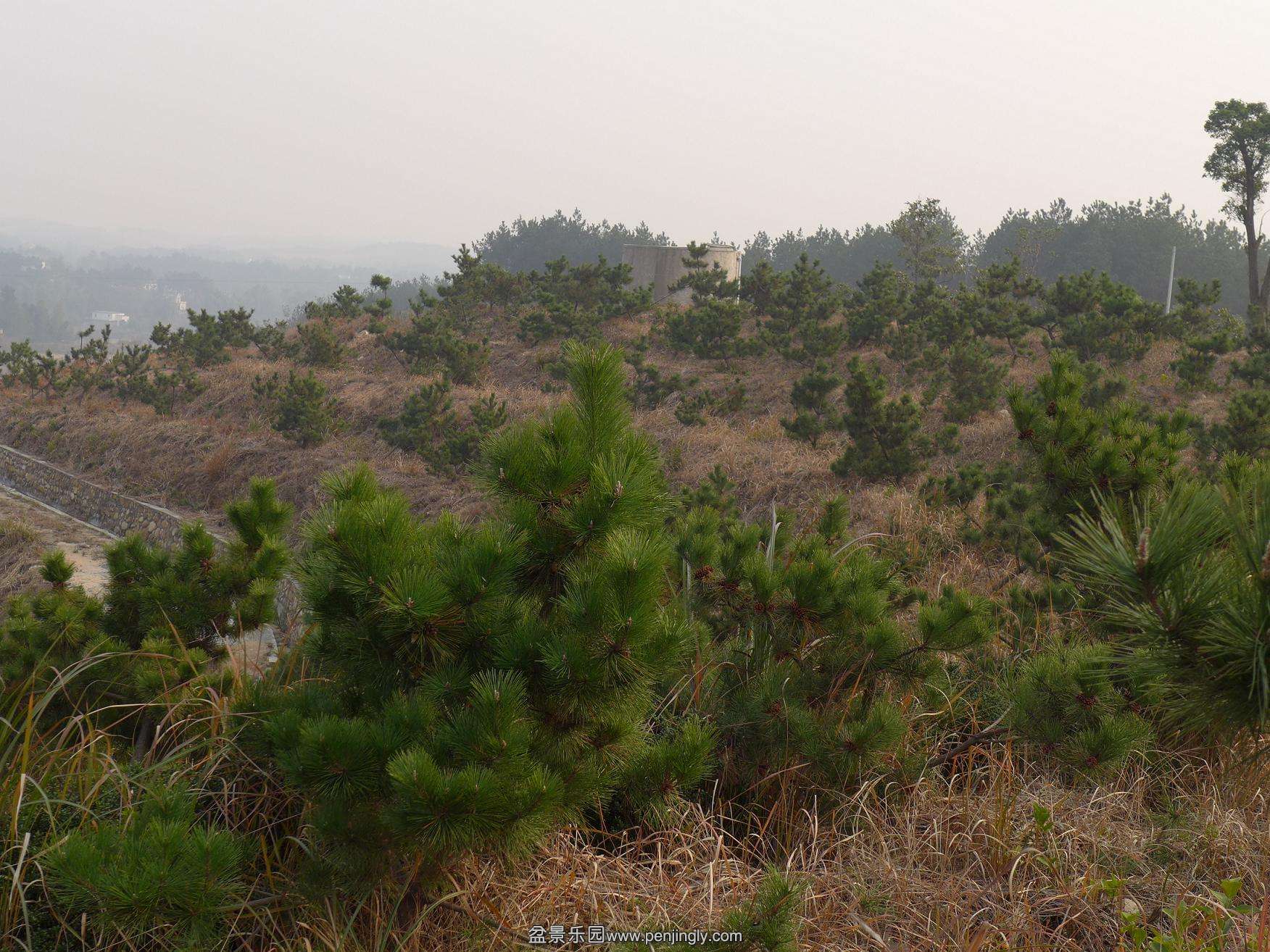 P1010727.JPG