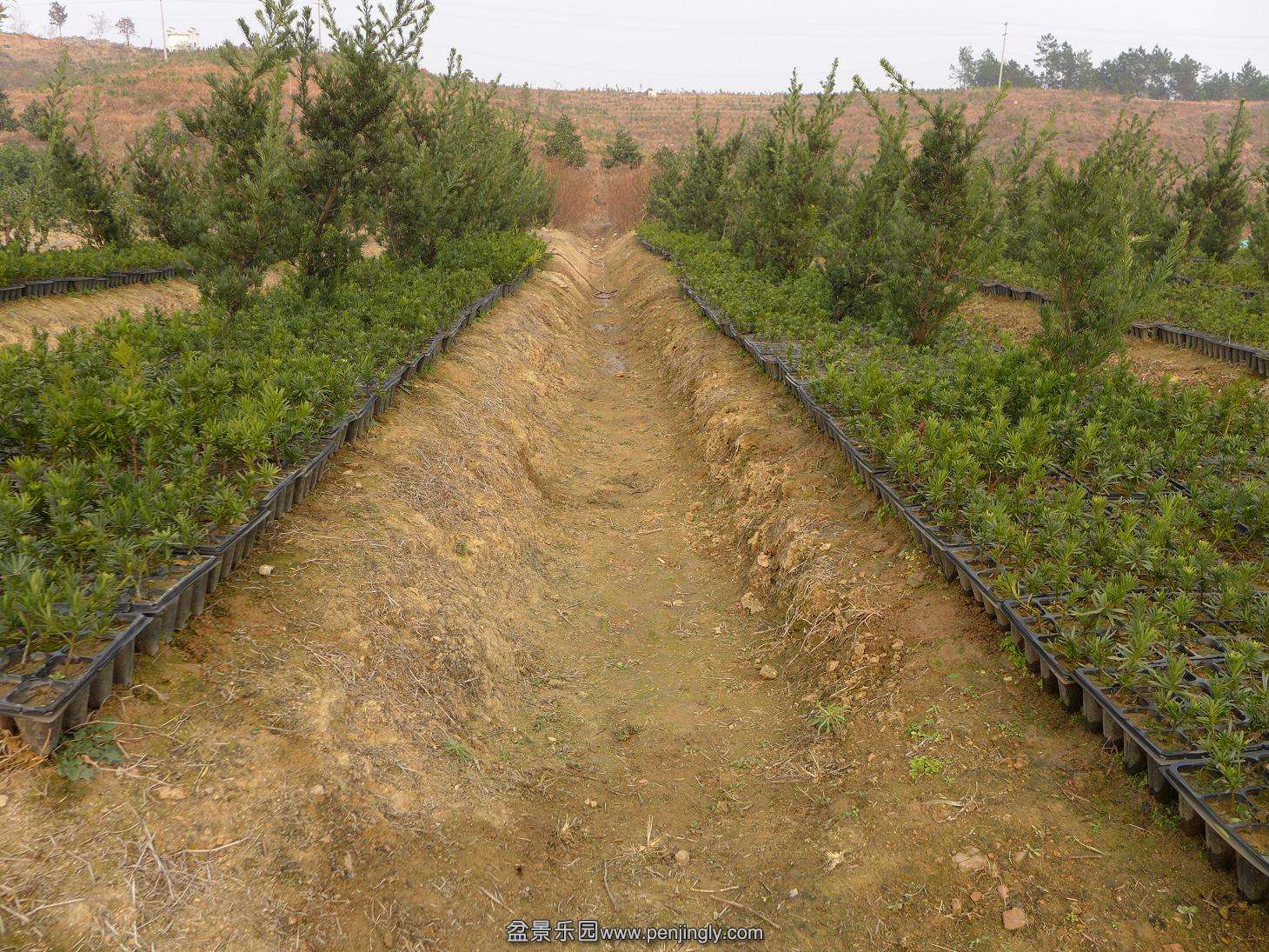 P1010763.JPG