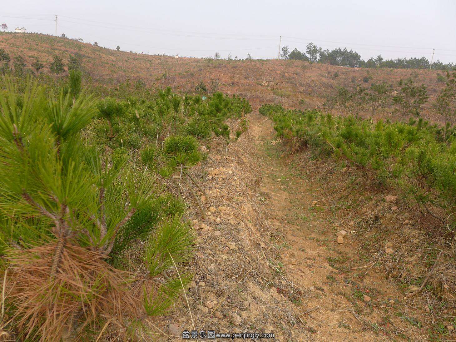 P1010765.JPG