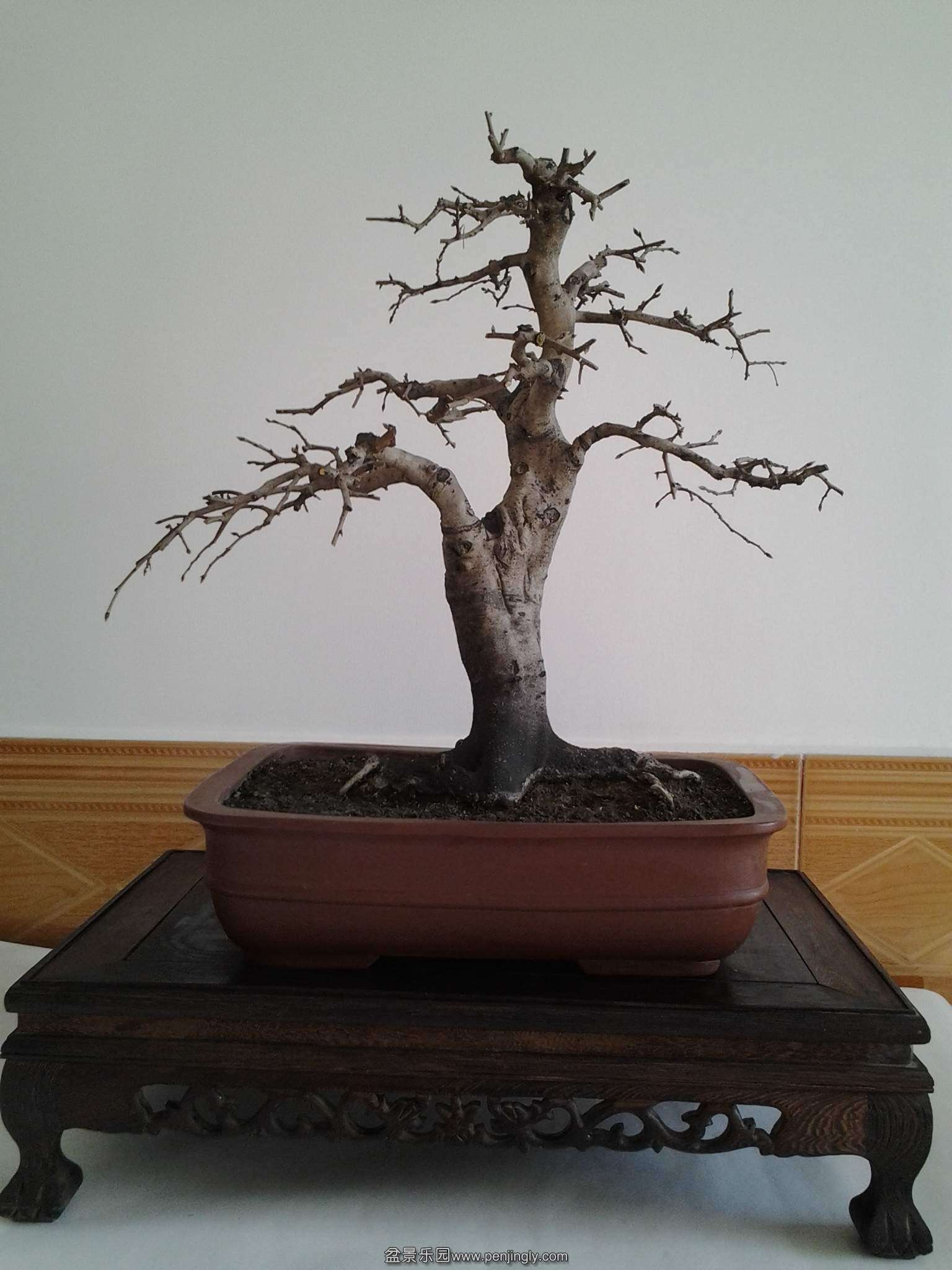 ĸѻ