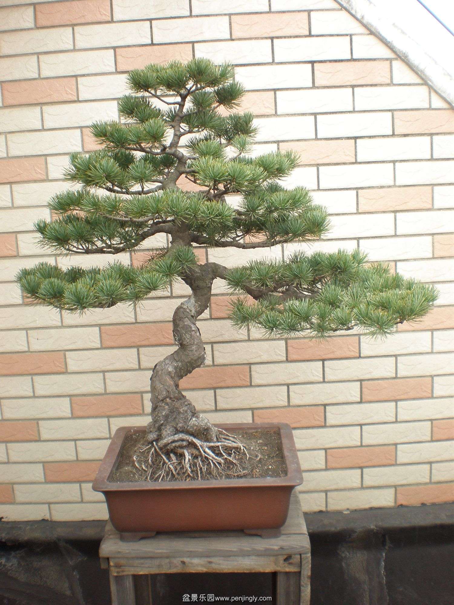 P1010036_.jpg