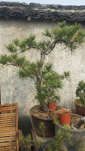 20131207_122436.jpg