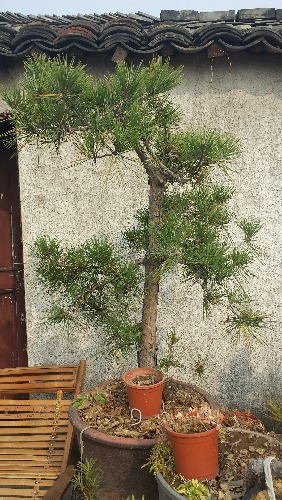 20131207_122351.jpg