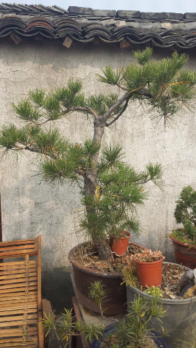 20131207_122436.jpg