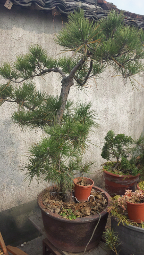 20131207_122413.jpg