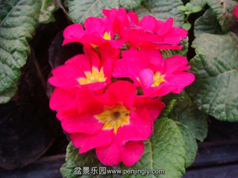 DSC06354.JPG