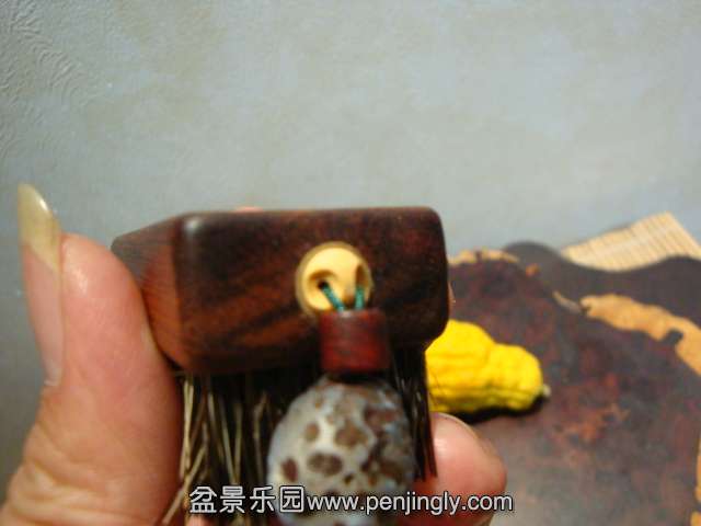DSC06381.JPG