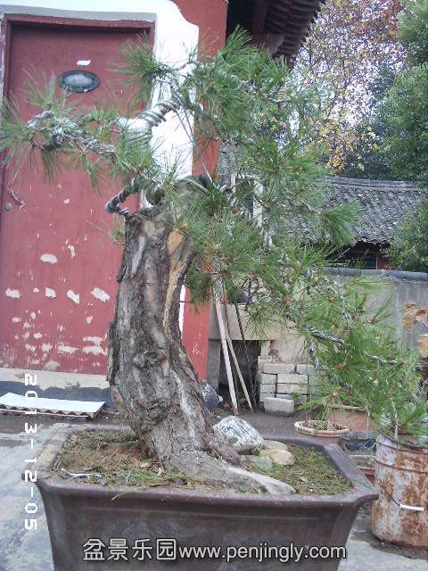 PHOT0301.JPG