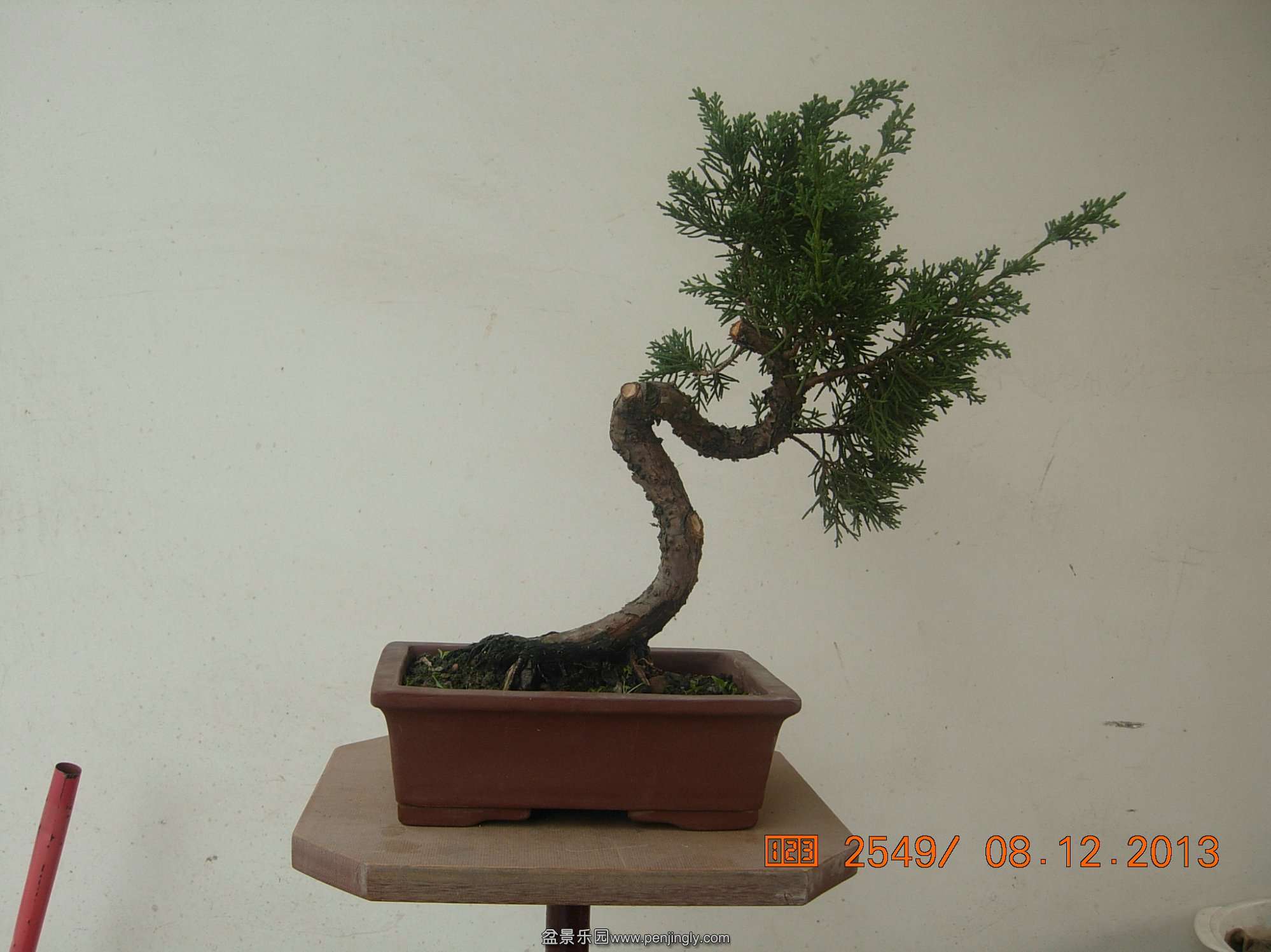 DSCN7103.JPG