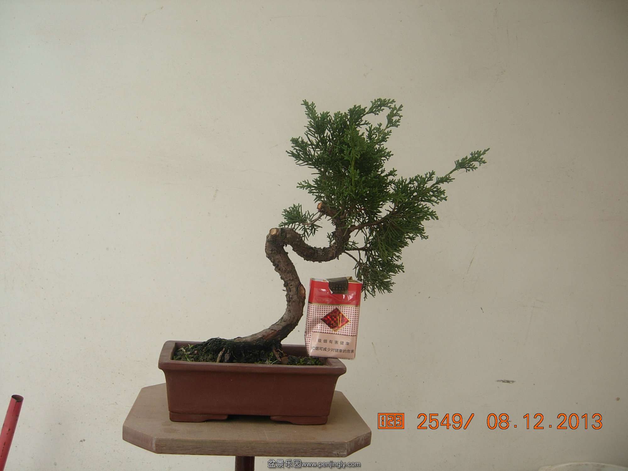 DSCN7104.JPG