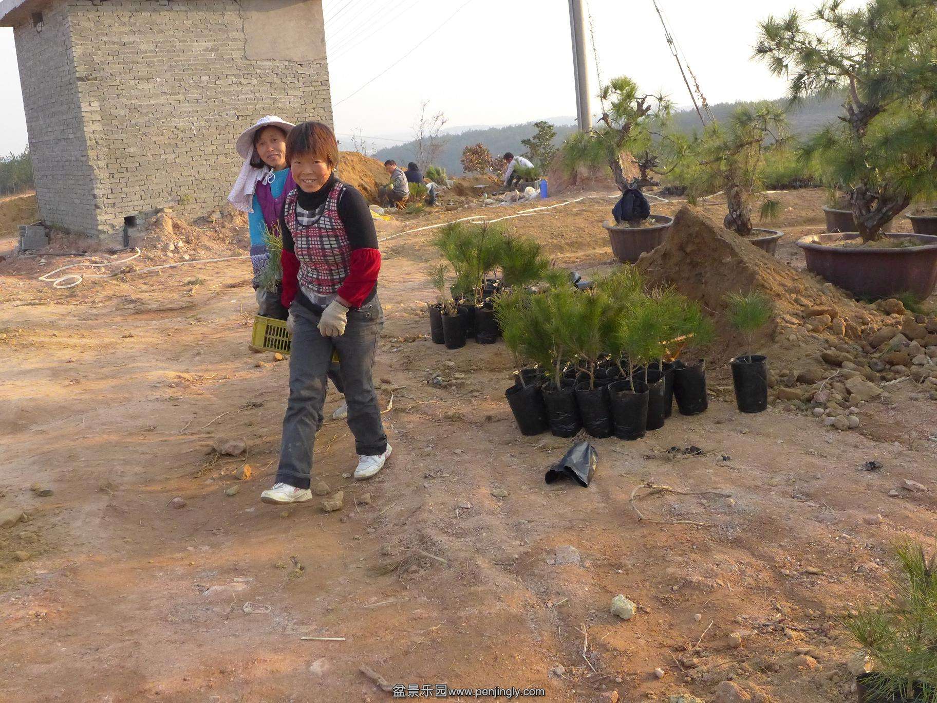 P1010495.JPG