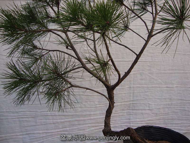 DSC01790_.jpg