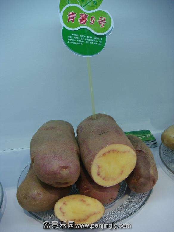 DSC06309.JPG