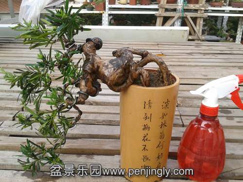 2013-12-08 14.08.36.jpg