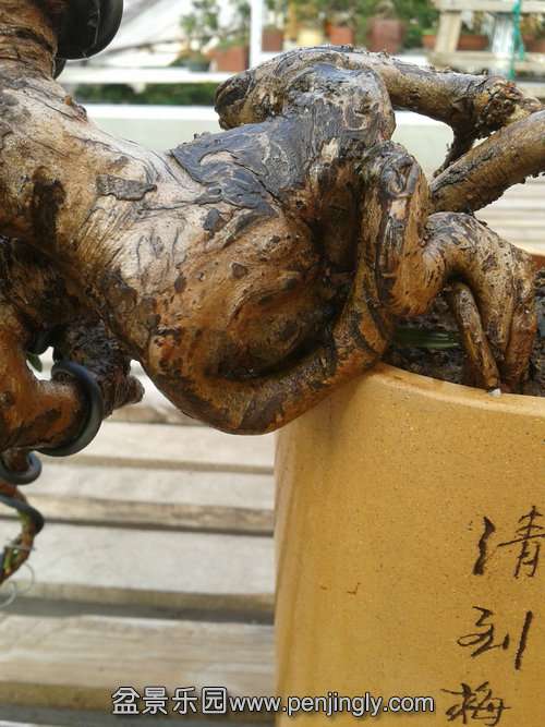 2013-12-08 14.09.04.jpg