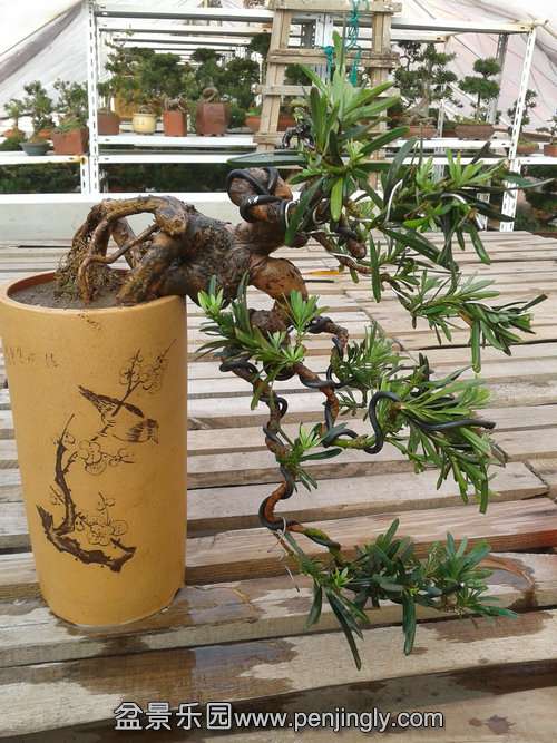 2013-12-08 14.11.54.jpg