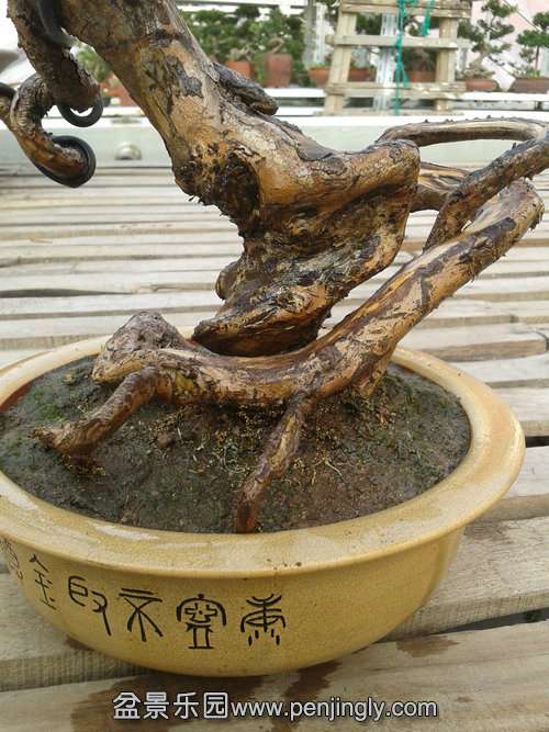 2013-12-08 14.12.07.jpg