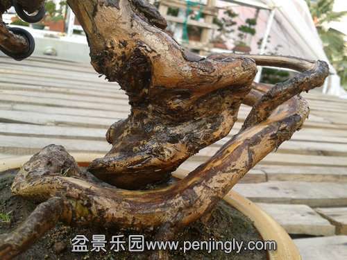 2013-12-08 14.12.20.jpg