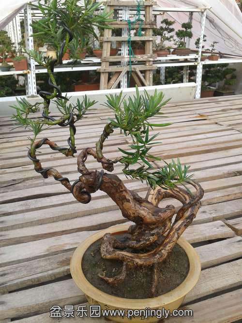 2013-12-08 14.12.28.jpg