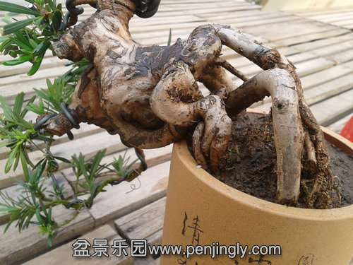 2013-12-08 14.23.11.jpg