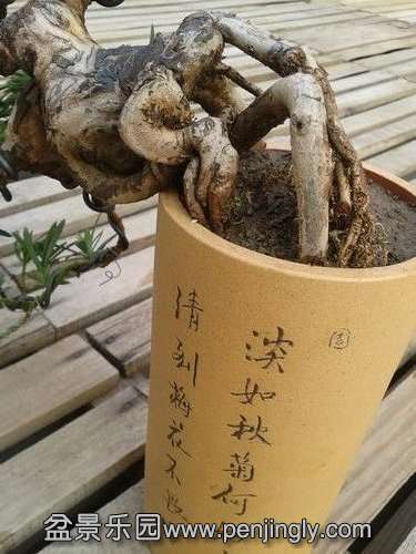 2013-12-08 14.23.22.jpg