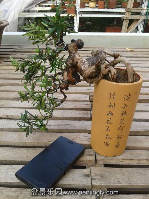 2013-12-08 14.24.50.jpg