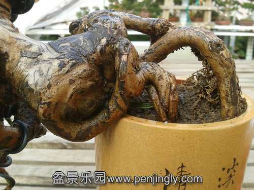 2013-12-08 14.08.24.jpg