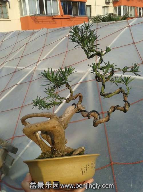 2013-12-08 13.33.42.jpg