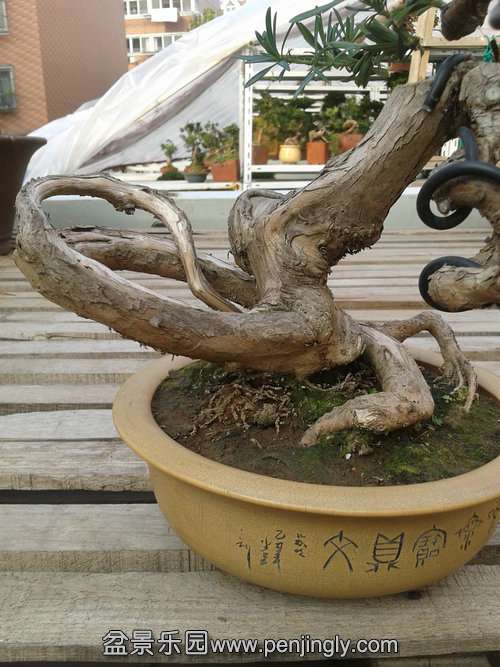 2013-12-08 14.00.12.jpg