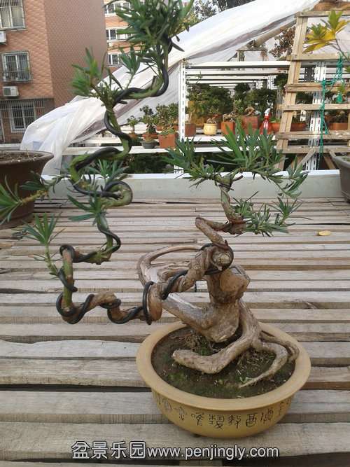 2013-12-08 14.00.40.jpg